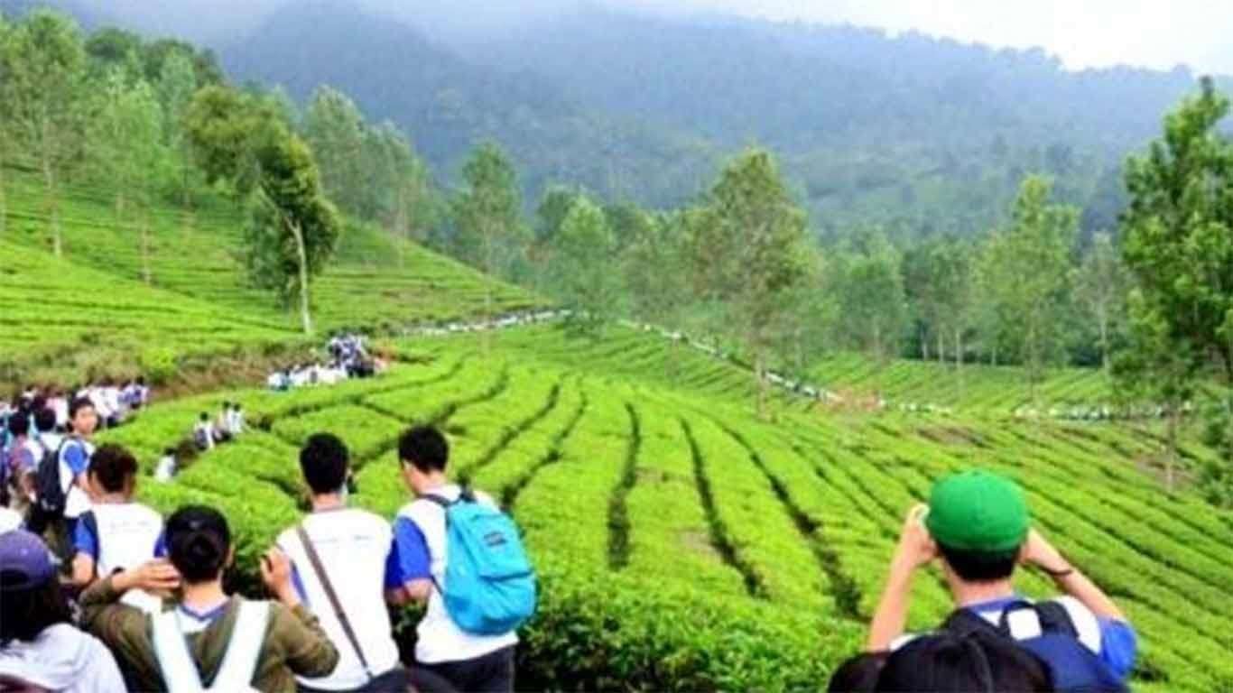 √ Taman Riung Gunung: Review & Harga Tiket Masuk 2026
