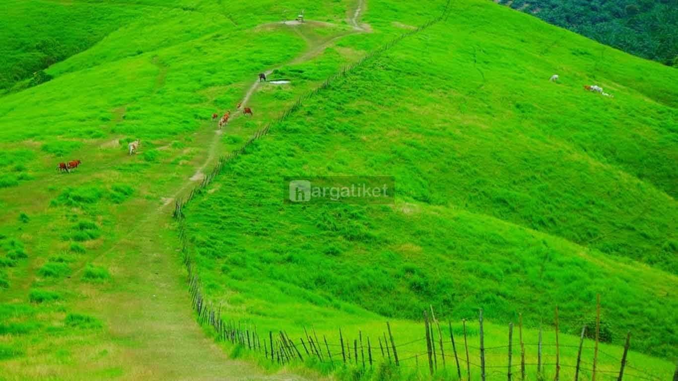 √ 38 Tempat Wisata di Banjarmasin Terbaru yang Wajib Dikunjungi